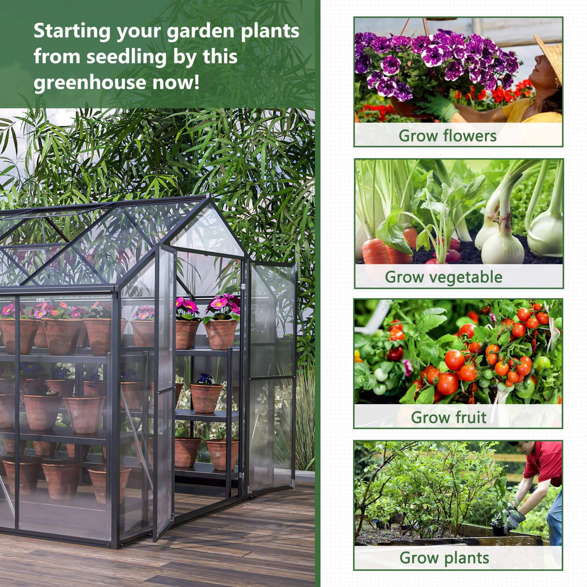 8x12FT Heavy-Duty Polycarbonate Walk-In Greenhouse with Double Swing Doors and Ventilation Windows