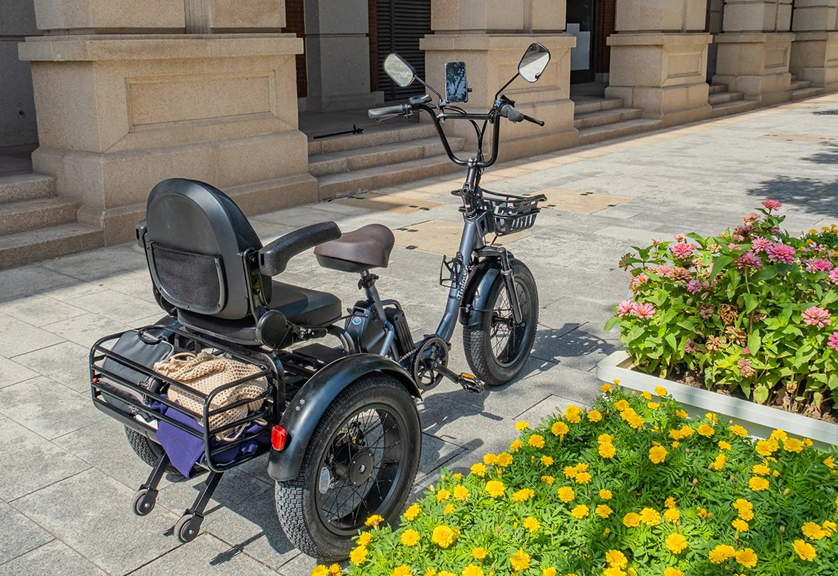 Creek Pro Electric Passenger Trike