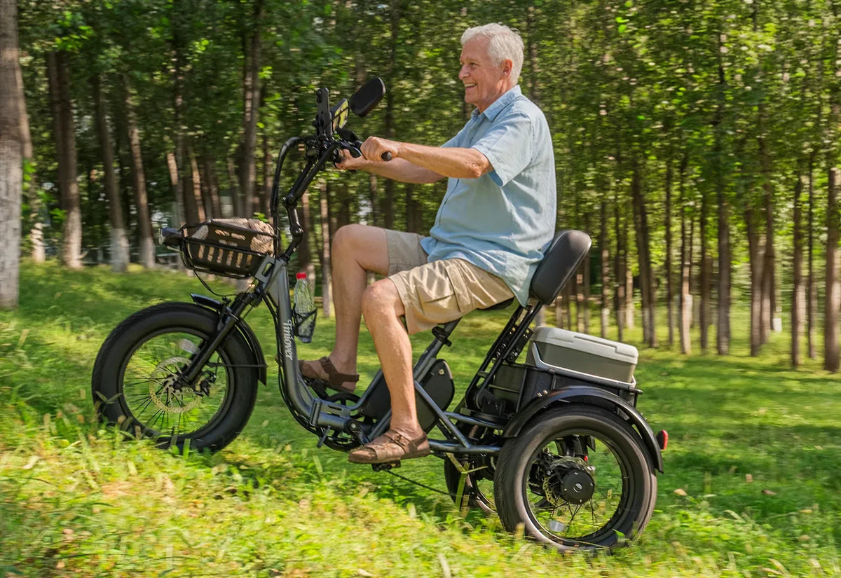 Creek Pro Electric Passenger Trike