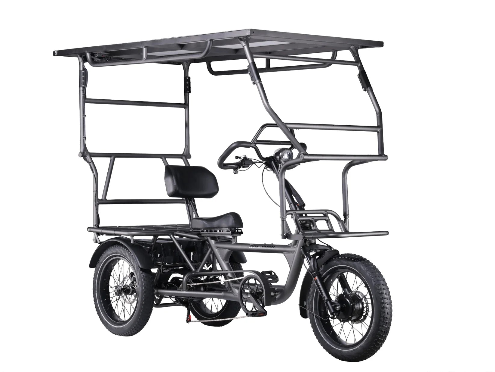 LLAMA Trike HT10 Dual Motor Fat Tire Electric Trike