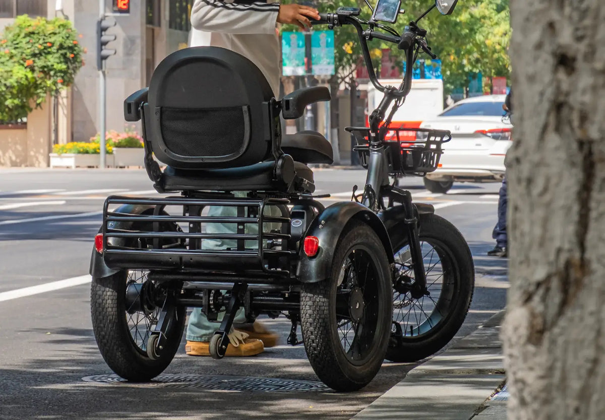 Creek Pro Electric Passenger Trike