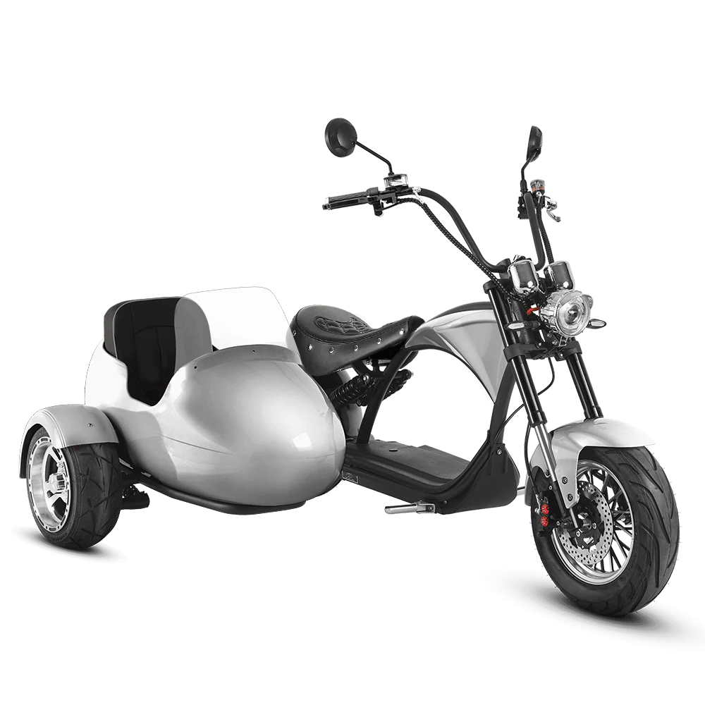 Eahora M1P + Sidecar