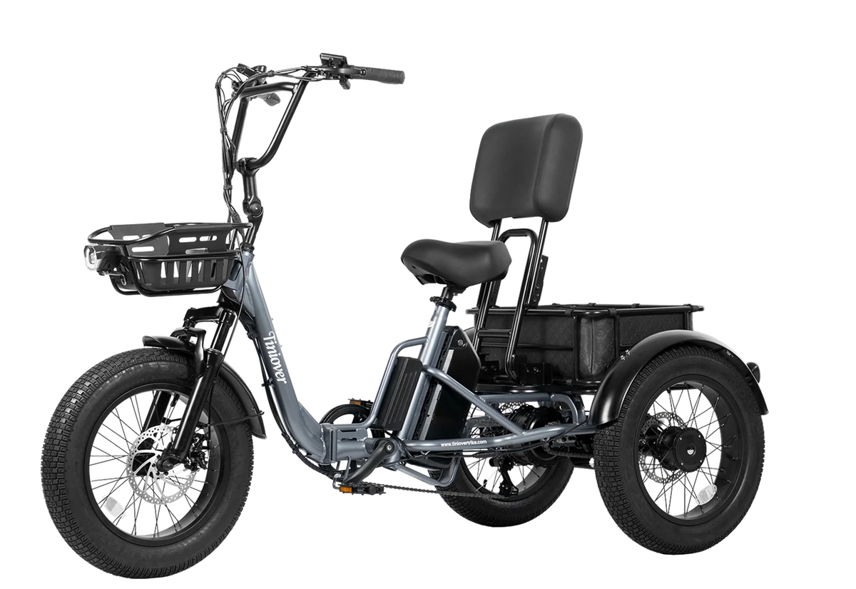 Creek Pro Electric Passenger Trike