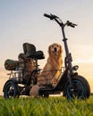 C5 Electric Trike with Removable Dual Baskets