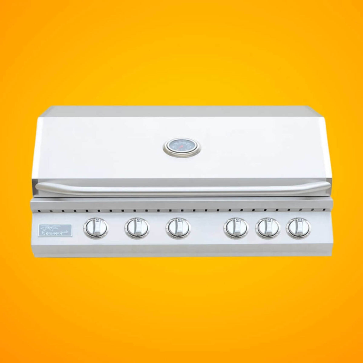 40-Inch Heavy-Duty 72K BTU LP/NG 5-Burner Built-In Stainless Steel Gas Grill