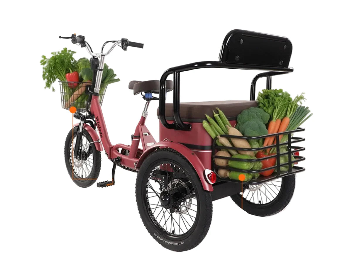 LLAMA Kindred Electric Trike