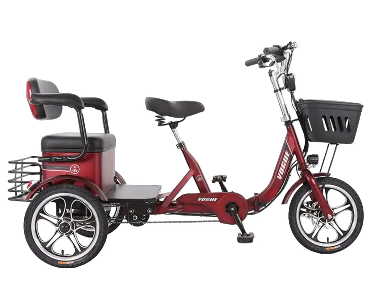LLAMA Odyssey Electric Trike