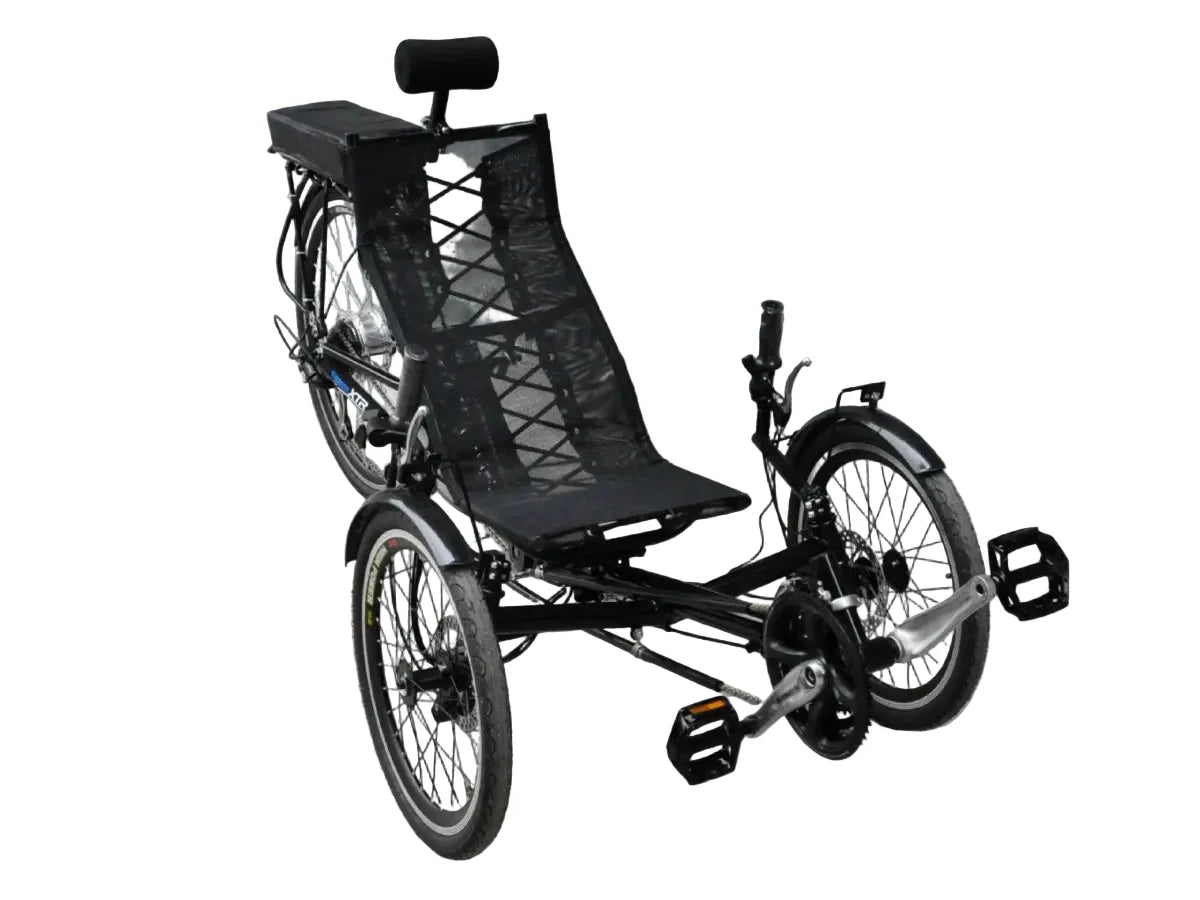 LLAMA Stryker Electric Trike