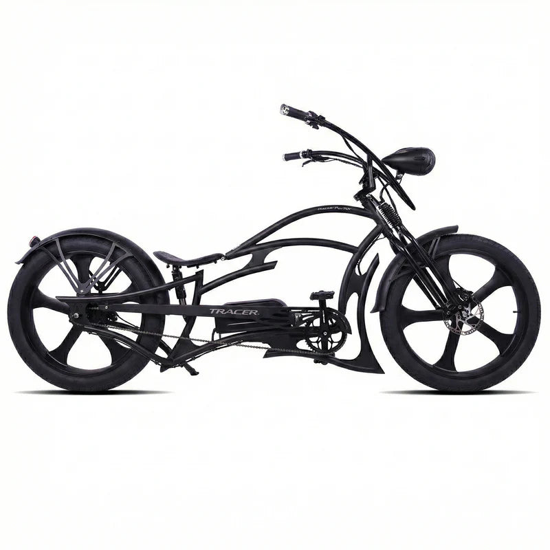 Raptor Pro DS 800W Stretch Cruiser Ebike