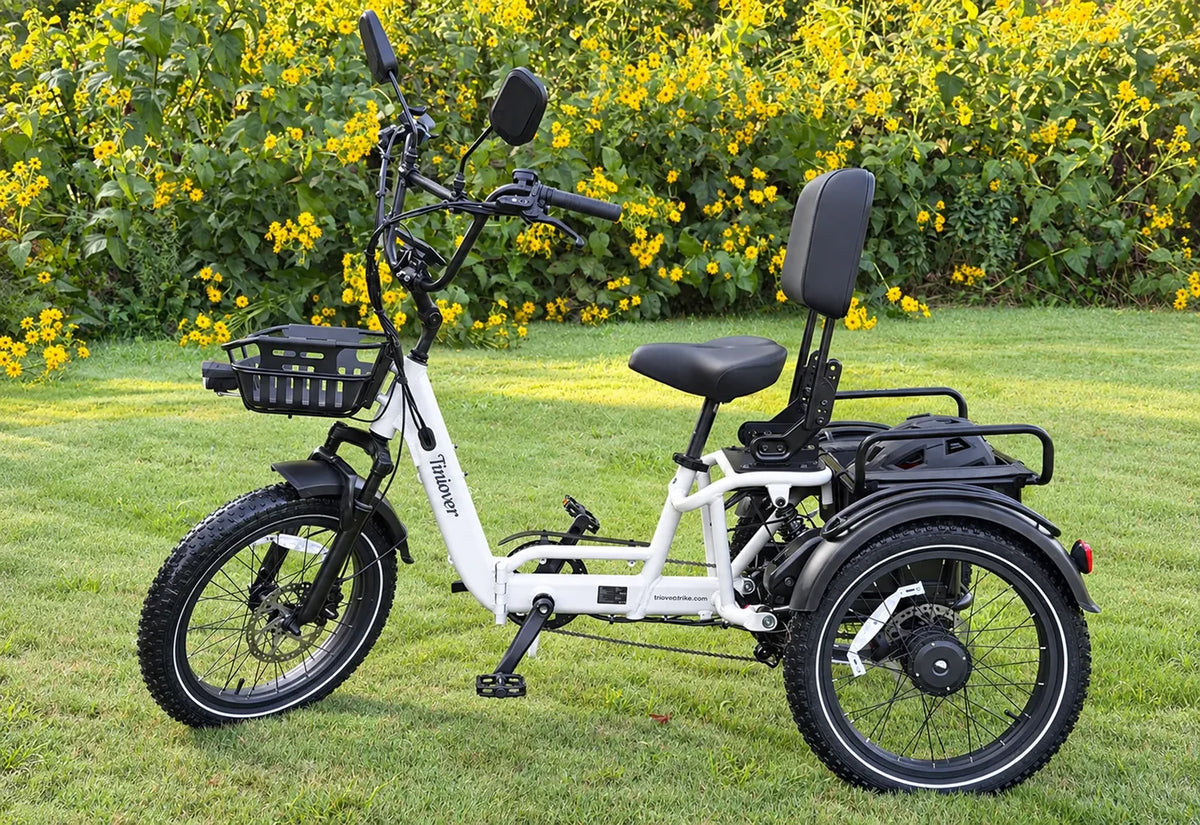 River Full Suspension Electric Tricycle