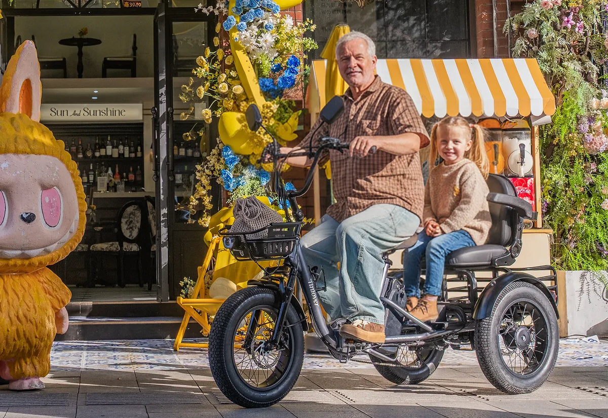 Creek Pro Electric Passenger Trike