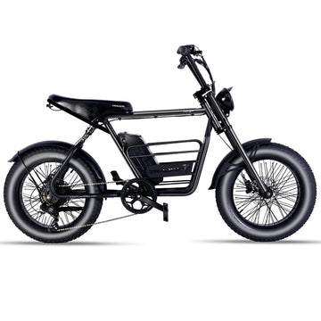 Tracer Verge 20"X4.0 Wheel 800W Fat Electric Motorbike