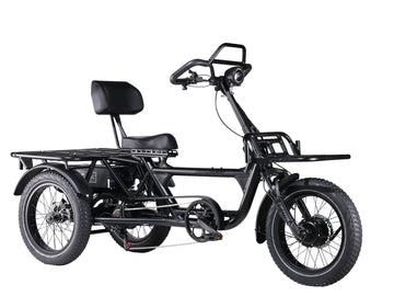 LLAMA Trike HT10 Dual Motor Fat Tire Electric Trike