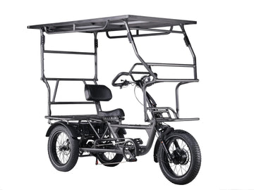 LLAMA Trike HT10 Dual Motor Fat Tire Electric Trike