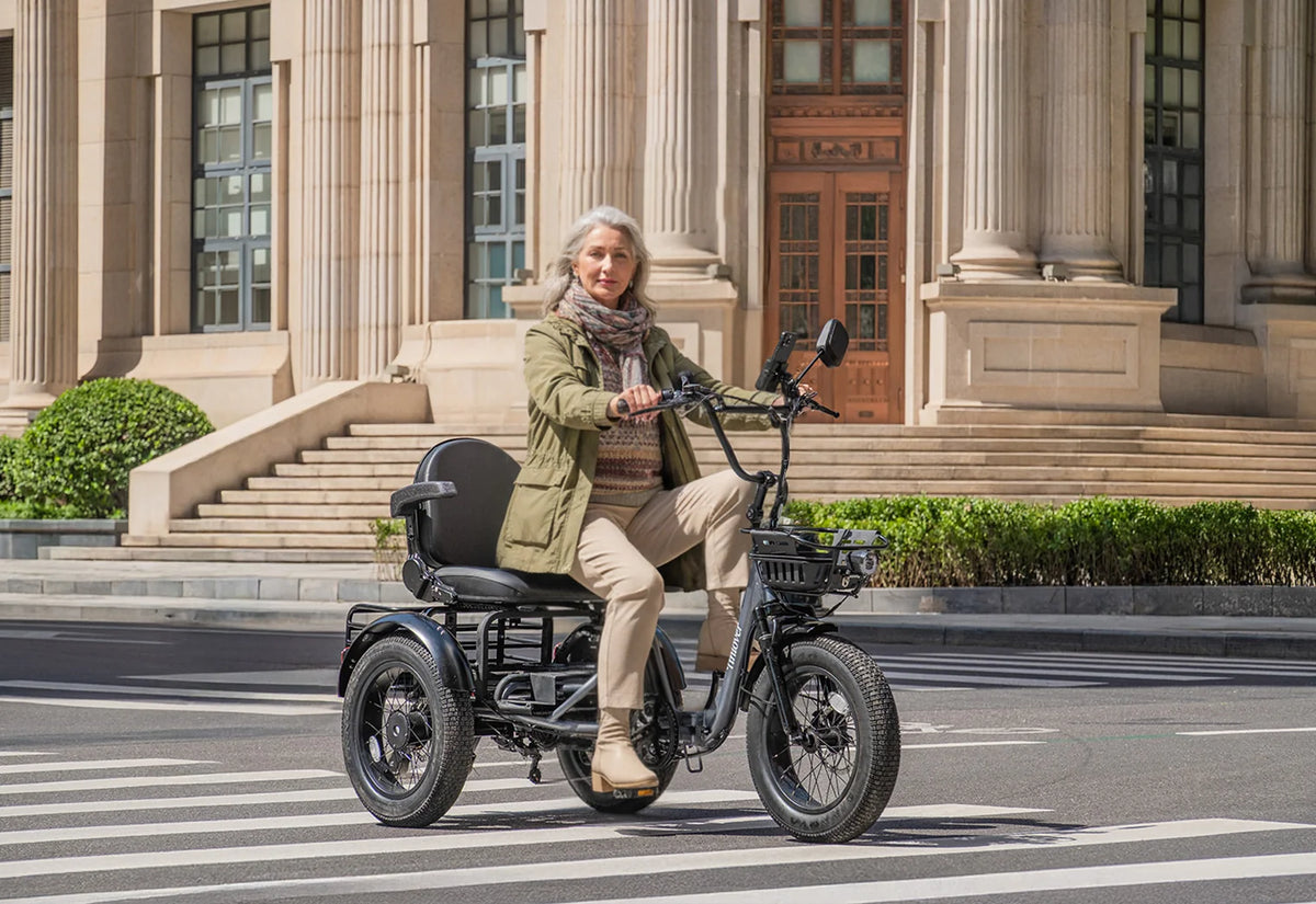 Creek Pro Electric Passenger Trike