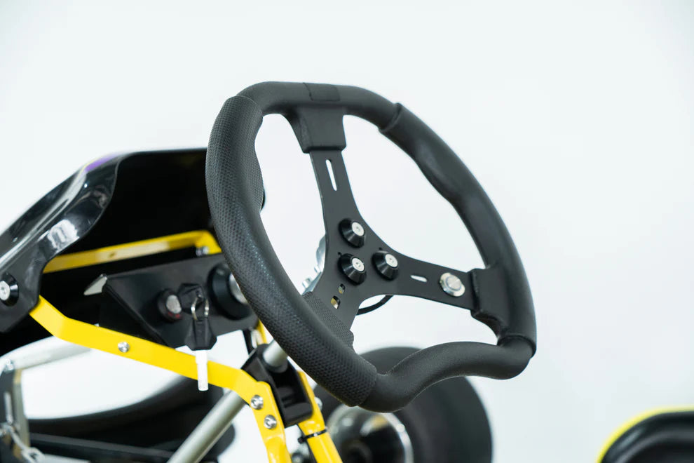 Superego Electric Go Kart (72V 12kW Peak Power)
