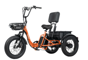 Creek Pro Electric Passenger Trike