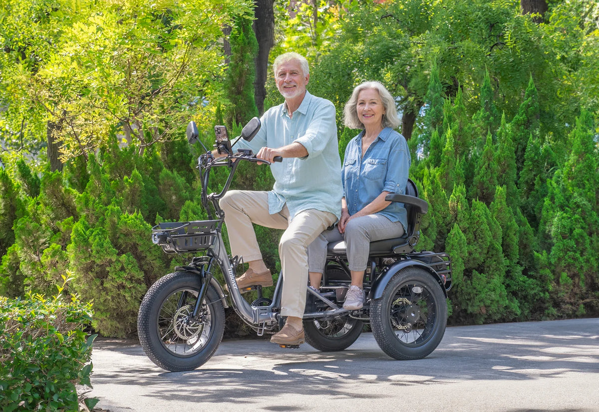 Creek Pro Electric Passenger Trike