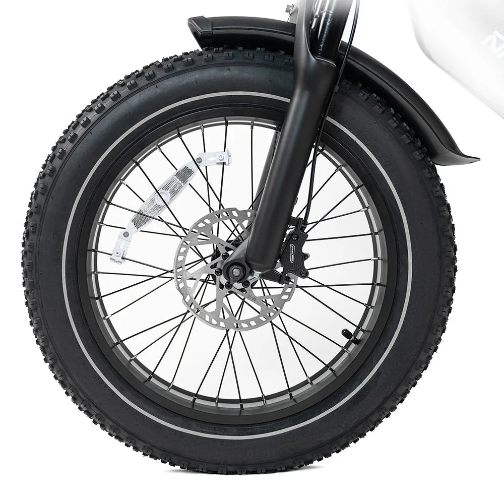 HappyRun G70 2000W Dual Battery Fast Electric Cargo Bike