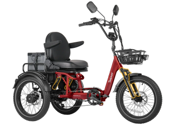 River Full Suspension Electric Tricycle