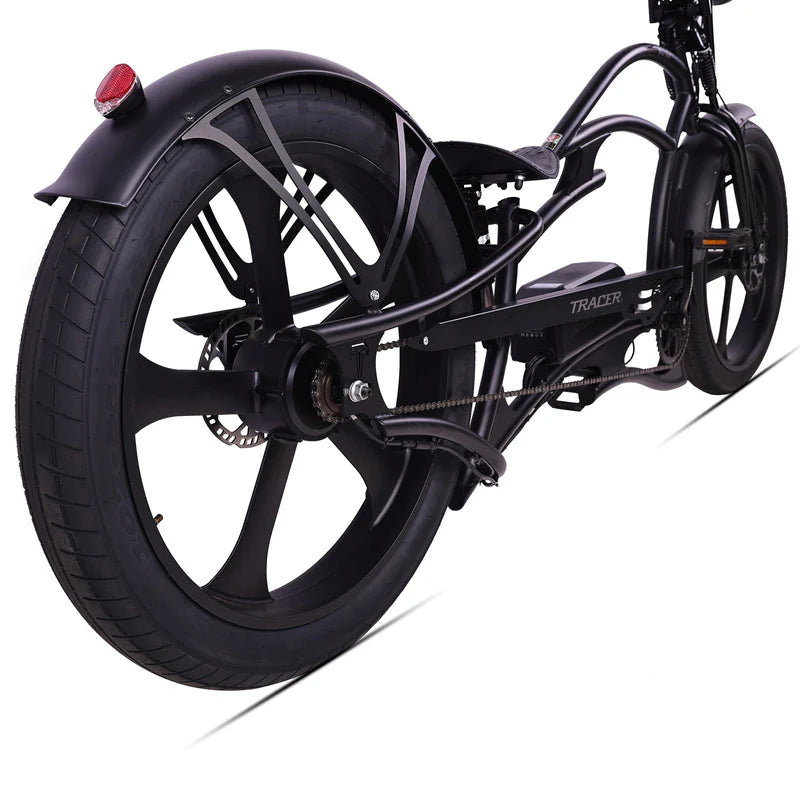 Raptor Pro DS 800W Stretch Cruiser Ebike