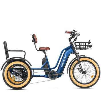 Greattan L Passenger Electric Trike