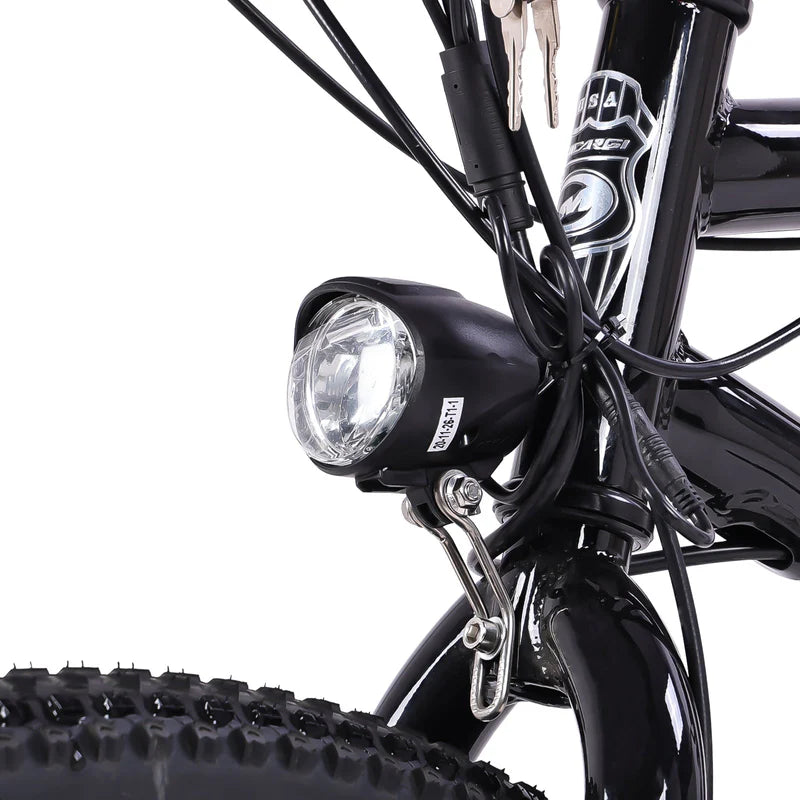 Tandem electric bike Aloha 500W