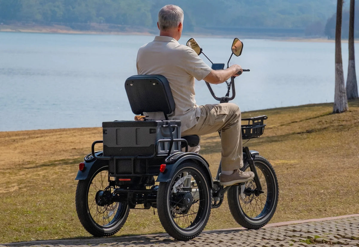 River Full Suspension Electric Tricycle