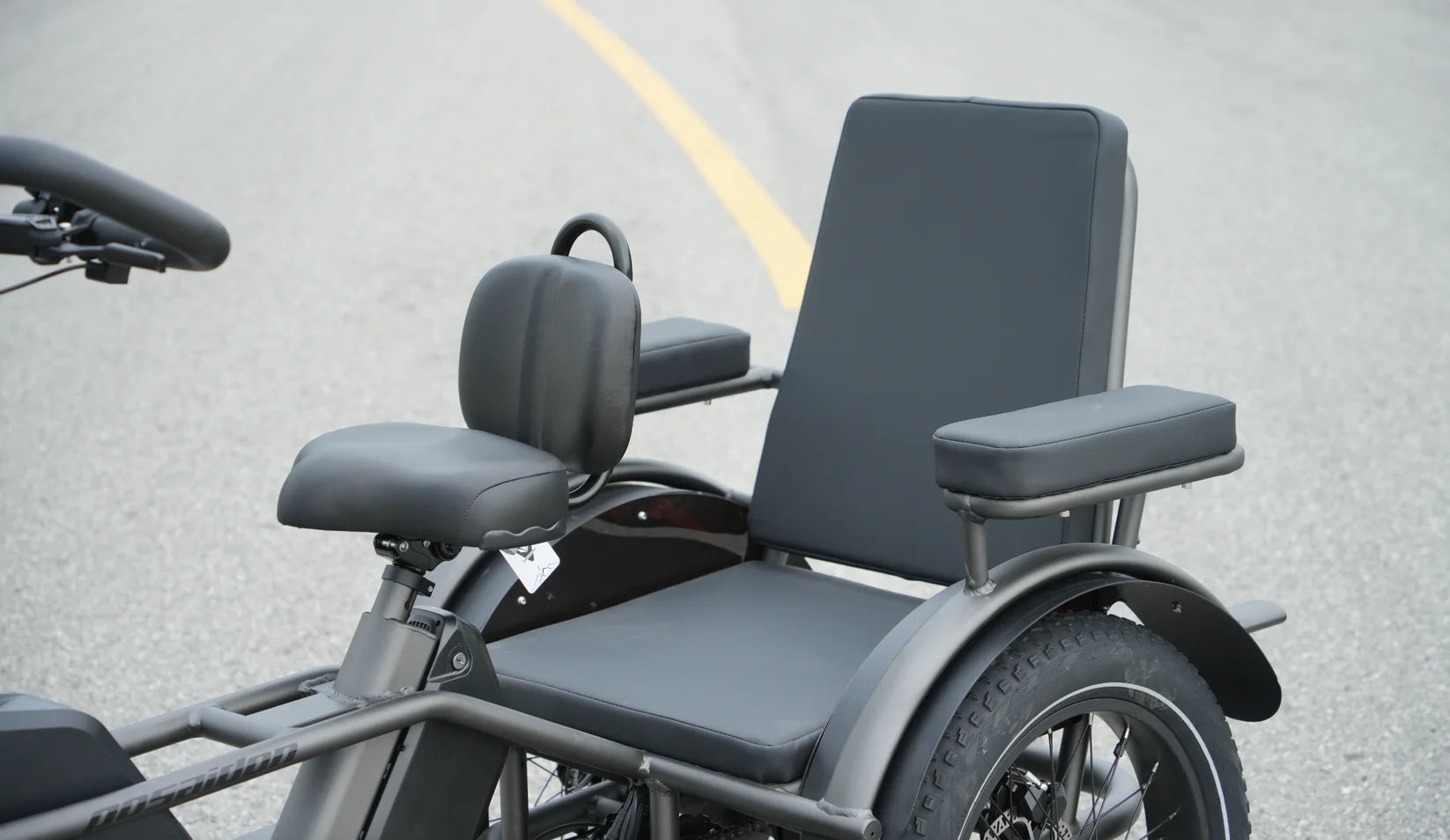 LLAMA Trike PT10 Dual Motor Passenger Electric Trike