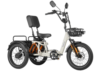 River Full Suspension Electric Tricycle