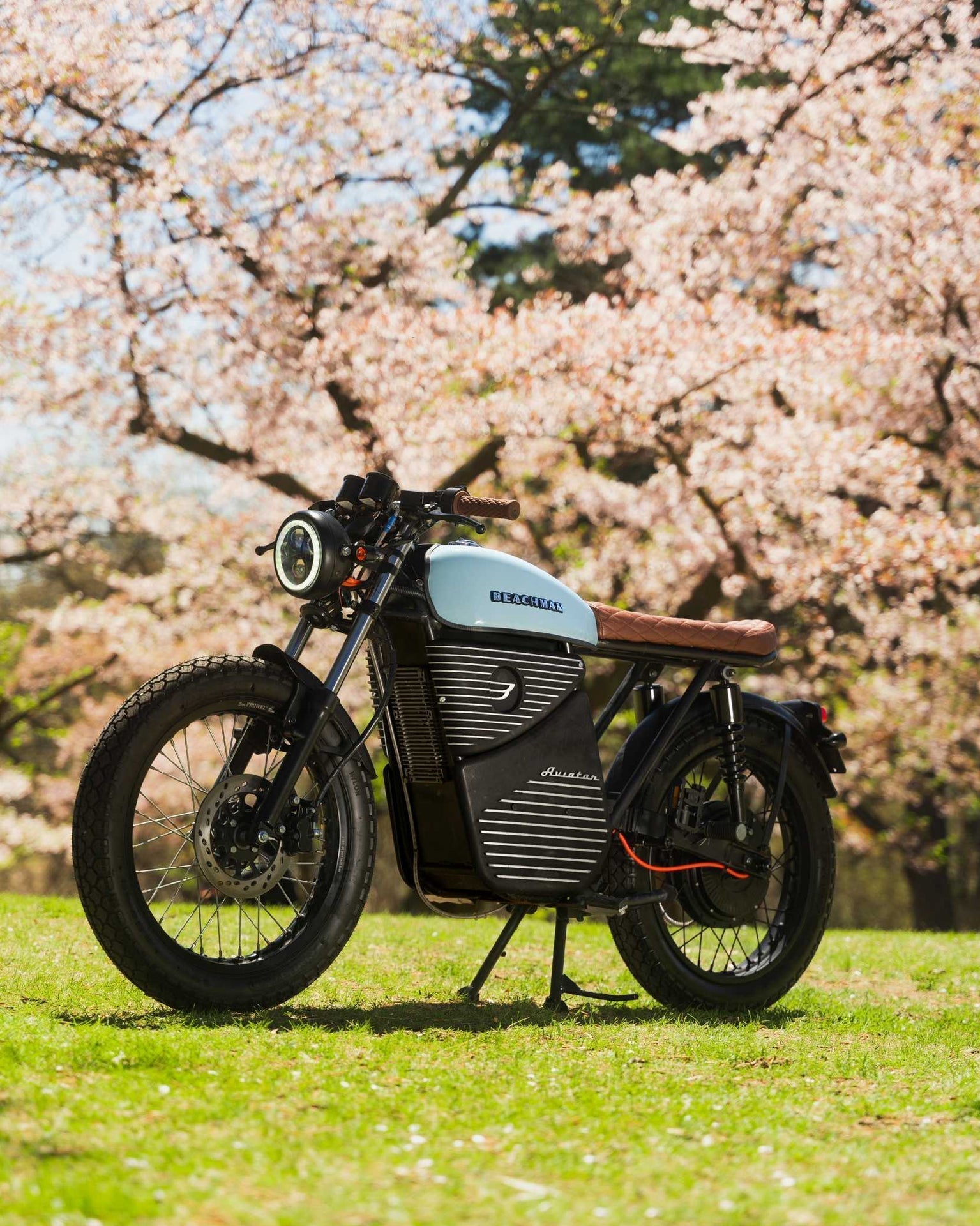 Beachman America Aviator Preorder