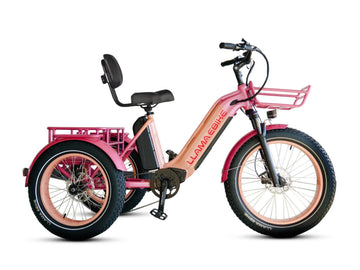 LLAMA Trike CT10 Fat Tire Electric Cargo Trike