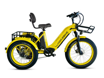 LLAMA Trike CT10 Fat Tire Electric Cargo Trike