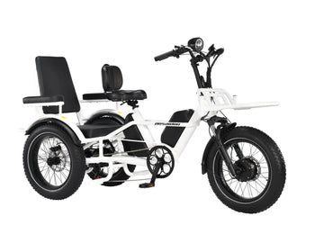LLAMA Trike PT10 Dual Motor Passenger Electric Trike