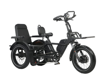 LLAMA Trike PT10 Dual Motor Passenger Electric Trike