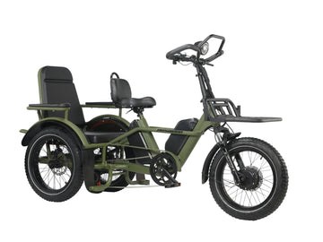 LLAMA Trike PT10 Dual Motor Passenger Electric Trike