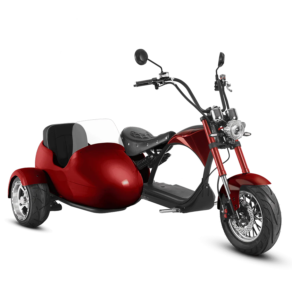Eahora M1P + Sidecar