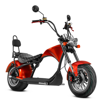 Eahora Two-seat M1P