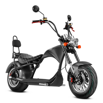 Eahora Two-seat M1P