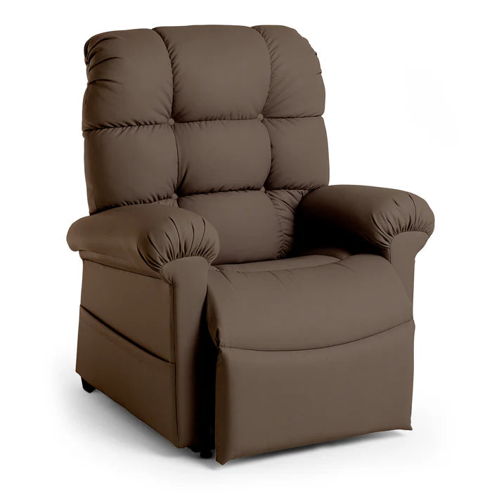 Perfect Sleep Chair & Lift Chair