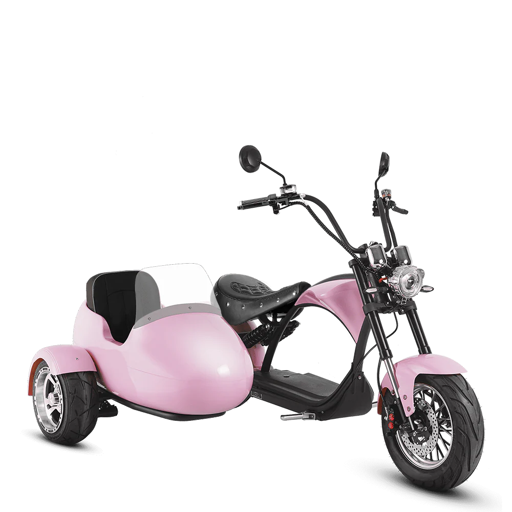 Eahora M1P + Sidecar