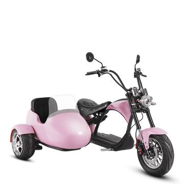 Eahora M1P + Sidecar