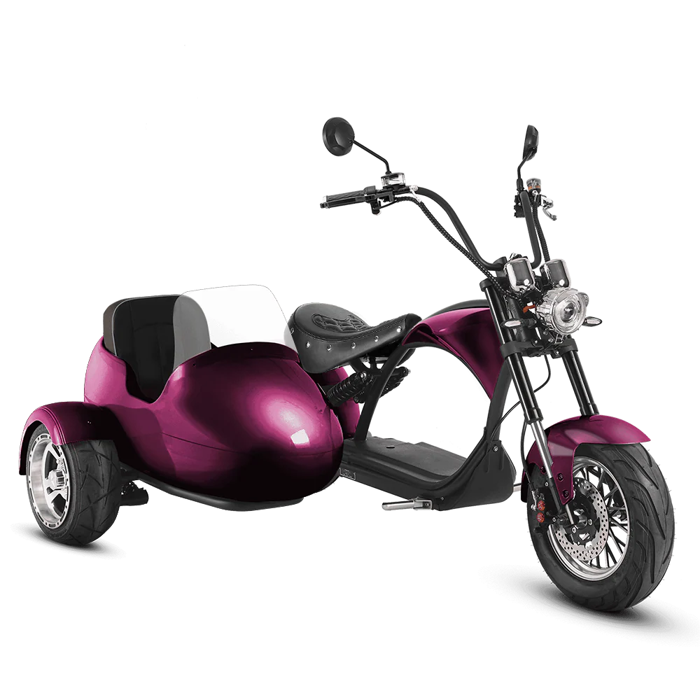 Eahora M1P + Sidecar