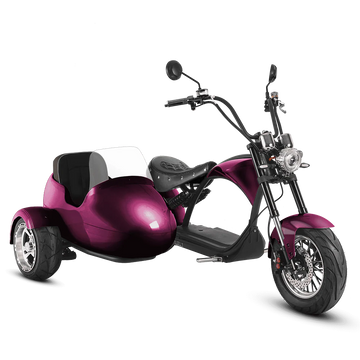Eahora M1P + Sidecar