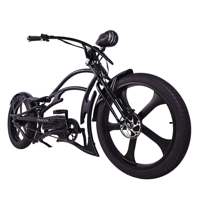 Raptor Pro DS 800W Stretch Cruiser Ebike