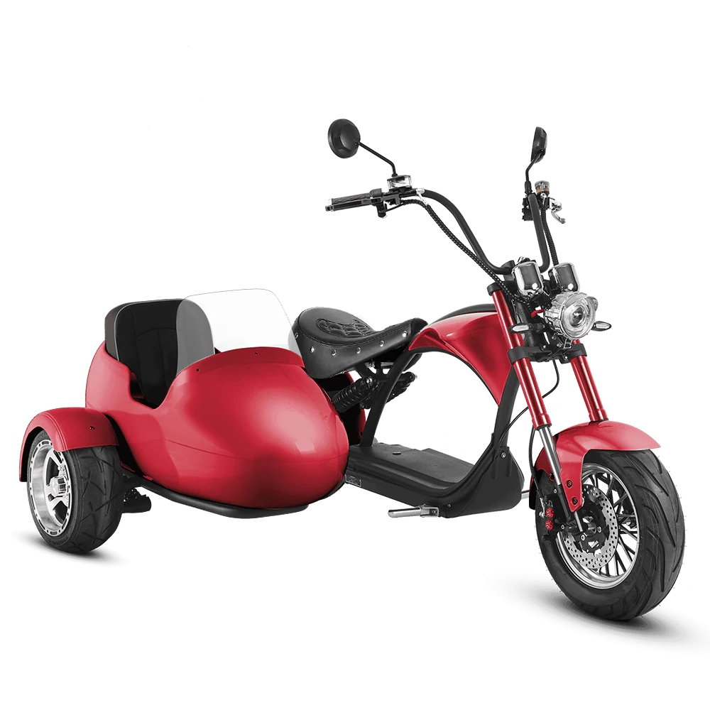 Eahora M1P + Sidecar