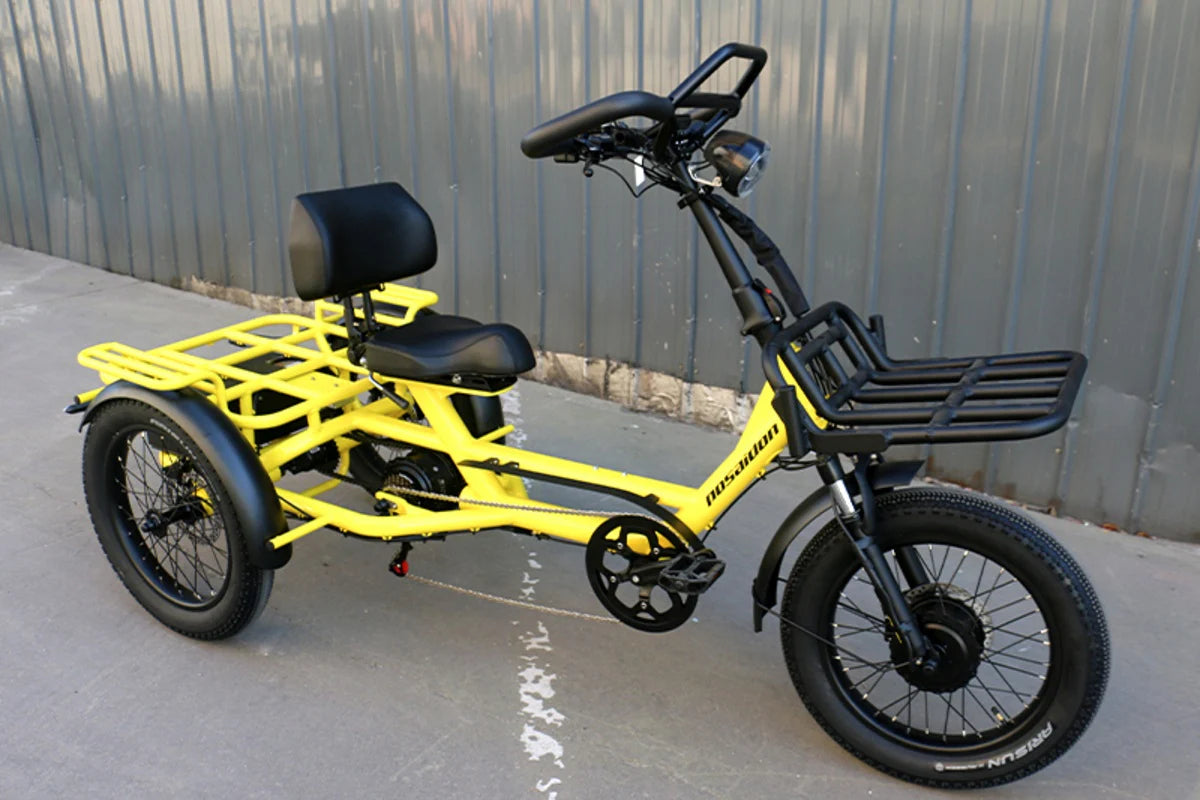 LLAMA Trike ST10 Step-Through Fat Tire Electric Trike