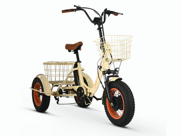 Easy Transit 750W Fat Tire Electric Trike