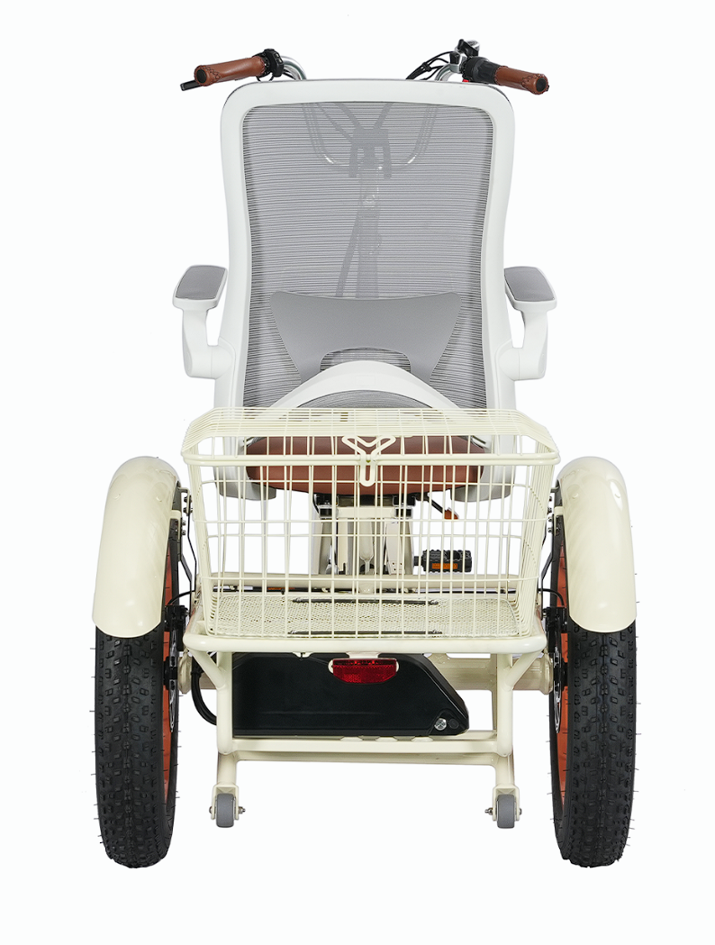 Simple Glide  Low Seat  750w Recumbent ETrike