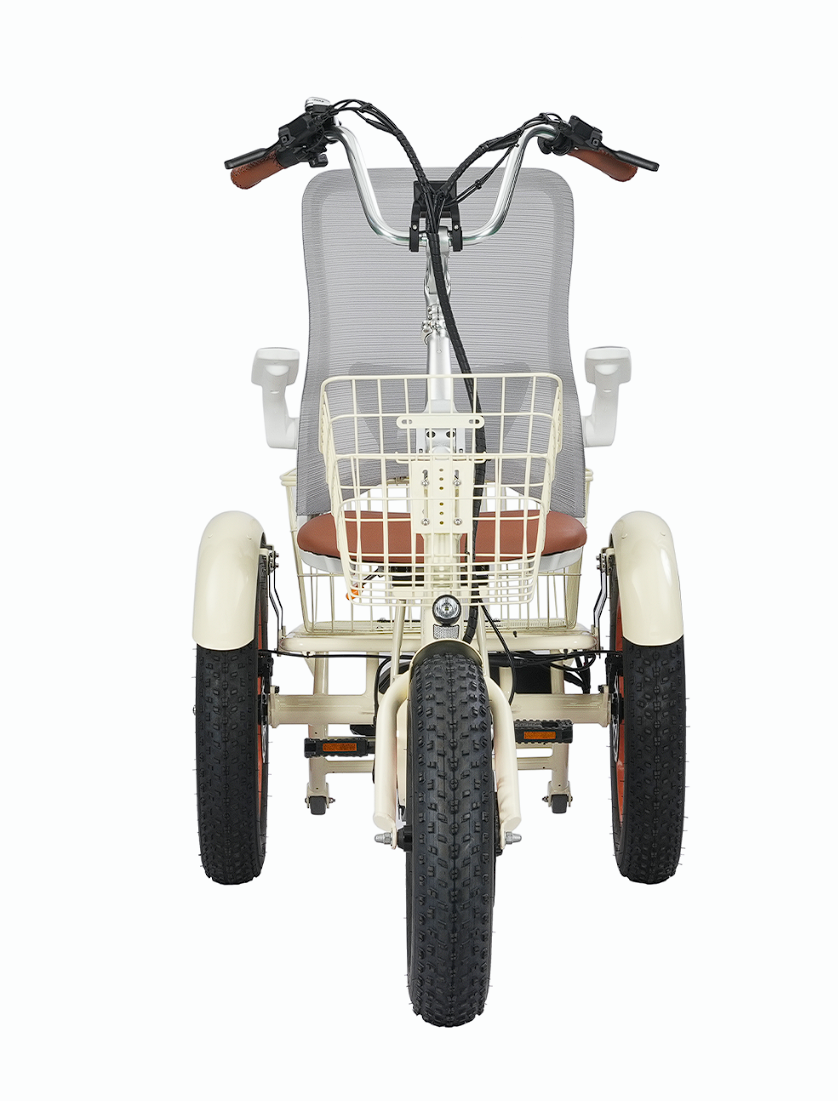 Simple Glide  Low Seat  750w Recumbent ETrike